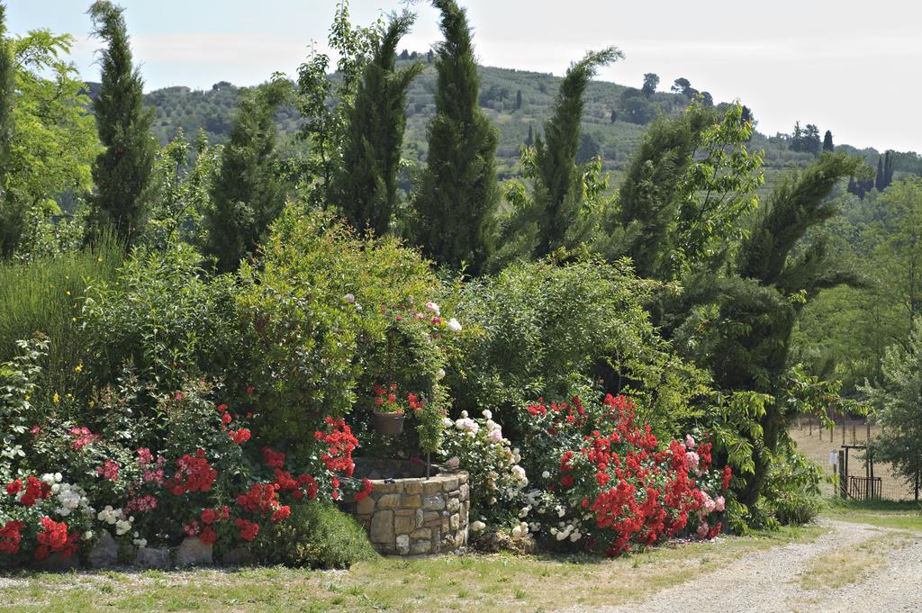 La Buca Di Montauto Hotel San Gimignano Kültér fotó