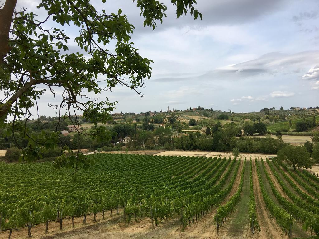 La Buca Di Montauto Hotel San Gimignano Kültér fotó